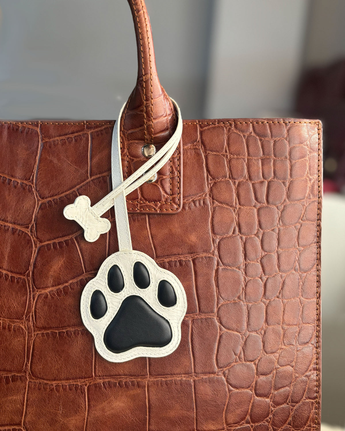 Dog Paw